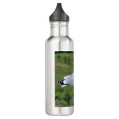 Seagull Stehend Edelstahlflasche (Links)