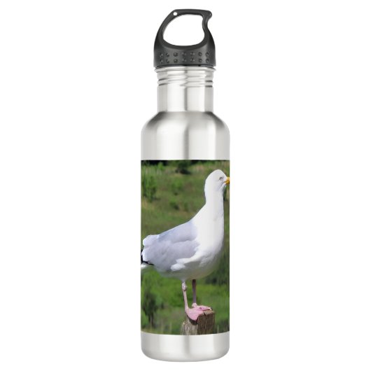 Seagull Stehend Edelstahlflasche (Vorderseite)