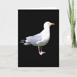 Seagull Stehend Hinzufügen von Textgrüße-Karte Karte