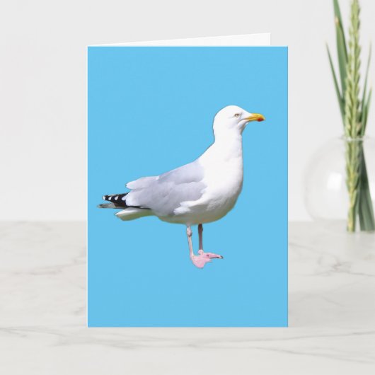 Seagull Stehend Hinzufügen von Textgrüße-Karte Karte (Vorderseite)
