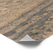 Seagull stehend Solo auf Hampton Beach Poster (Ecke)