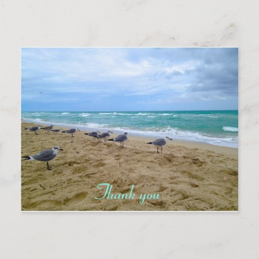 Seagull Strand vielen Dank Postcard Postkarte (Vorderseite)