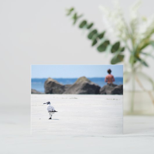 Seagull Stroll Postkarte (Stehend Vorderseite)