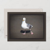 Seagull Strut Postcard Postkarte (Vorne/Hinten)