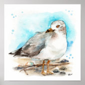 Seagull-Studie 2 Poster (Vorne)