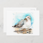 Seagull-Studie 2 Postkarte (Vorne/Hinten)
