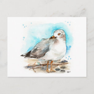 Seagull-Studie 2 Postkarte