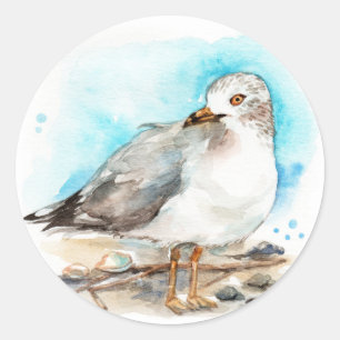 Seagull-Studie 2 Runder Aufkleber