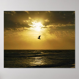 Seagull stürzt in die Sonnenuntergang-Vogelfotogra Poster