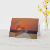 Seagull Sunset Karte (Gelbe Blume)