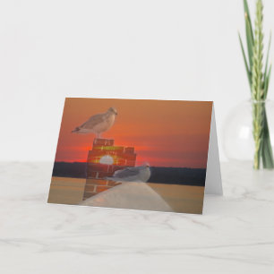 Seagull Sunset Karte