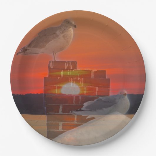 Seagull Sunset Pappteller (Vorderseite)