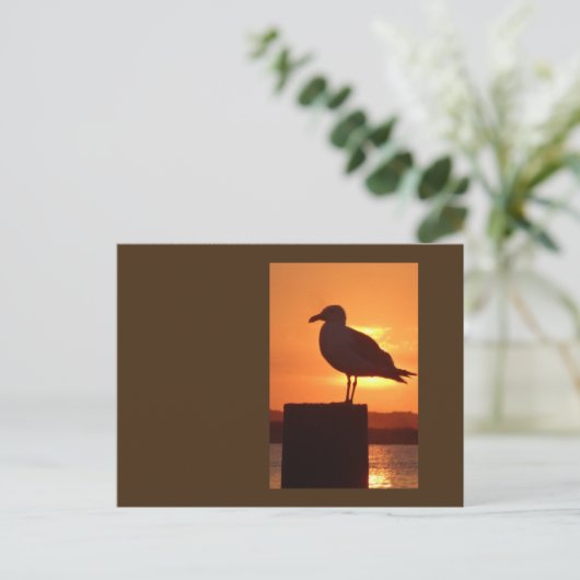 Seagull Sunset Postkarte (Stehend Vorderseite)