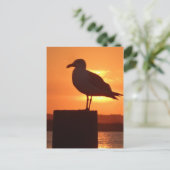 Seagull Sunset Postkarte (Stehend Vorderseite)
