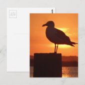 Seagull Sunset Postkarte (Vorne/Hinten)