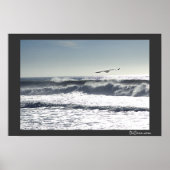 Seagull Surf Poster (Vorne)