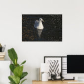 Seagull Swim Fine Art Print Poster (Heimbüro)