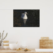 Seagull Swim Fine Art Print Poster (Küche)