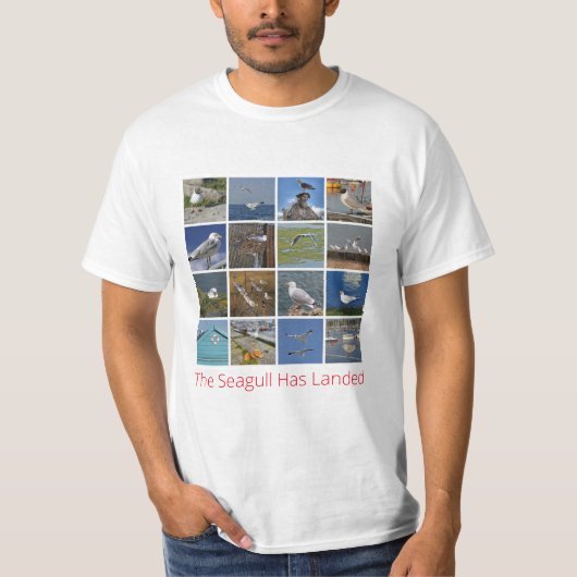 Seagull T-Shirt (Vorderseite)