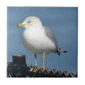 Seagull Tile Fliese (Vorderseite)