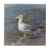 Seagull Tile Fliese (Vorderseite)