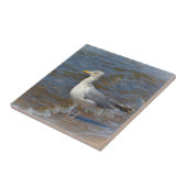 Seagull Tile Fliese (Seite)