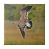 Seagull Tile Fliese (Vorderseite)