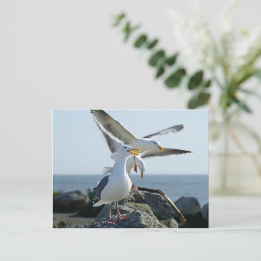 Seagull Trio Postkarte (Stehend Vorderseite)