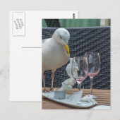 Seagull und leere Brillen Blick Postkarte (Vorne/Hinten)