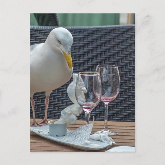 Seagull und leere Brillen Blick Postkarte (Vorderseite)