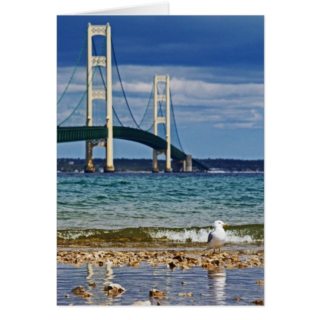 Seagull und Mackinac Bridge (Vorne)