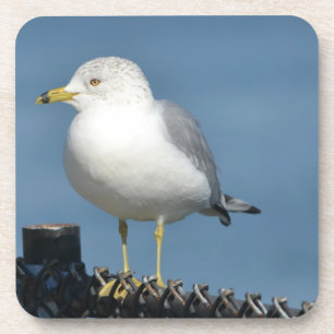 Seagull-Untersetzer Getränkeuntersetzer