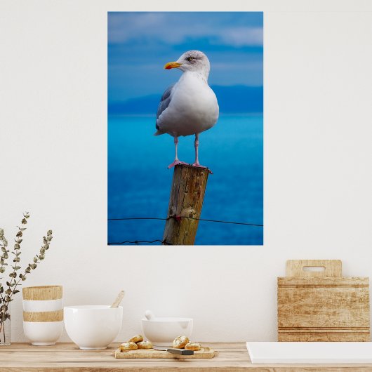Seagull-Verschluss Poster (Küche)