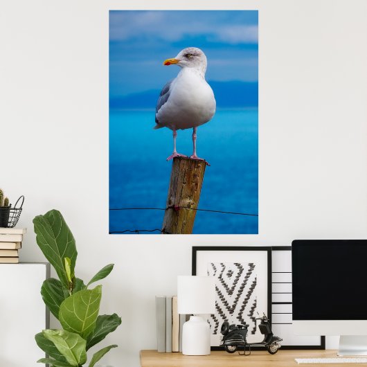 Seagull-Verschluss Poster (Heimbüro)