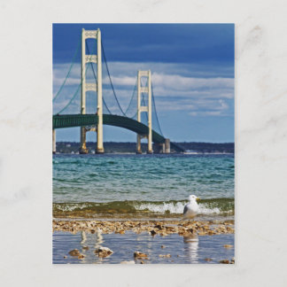 Seagull von Mackinac Bridge Postkarte