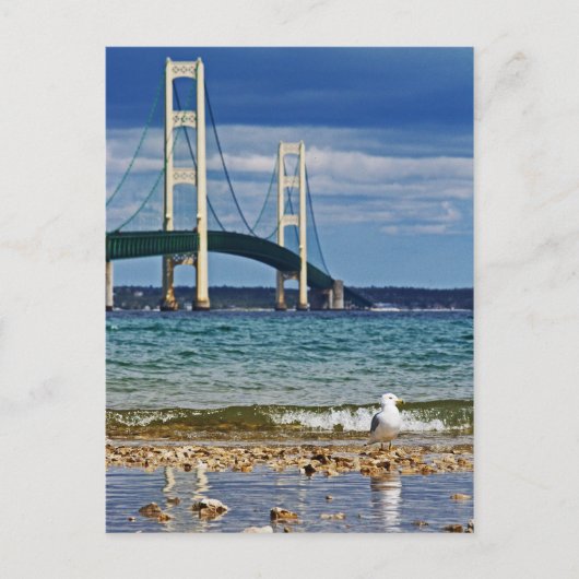 Seagull von Mackinac Bridge Postkarte (Vorderseite)