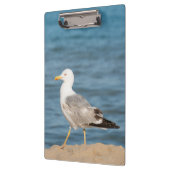 Seagull Walking on the Beach Klemmbrett (Links)