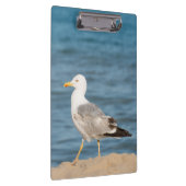 Seagull Walking on the Beach Klemmbrett (Rechts)