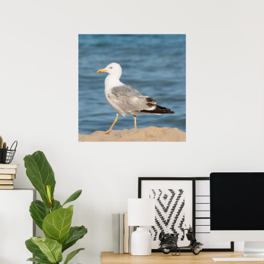 Seagull Walking on the Beach Poster (Heimbüro)