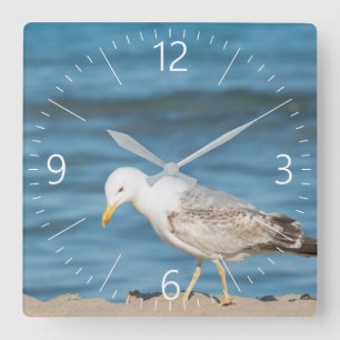 Seagull Walking on the Beach Quadratische Wanduhr