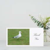 Seagull Walling im Park - Danke (Stehend Vorderseite)