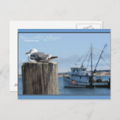 Seagull Watch Postkarte (Vorne/Hinten)
