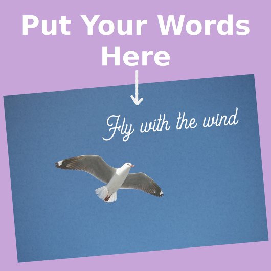 Seagull White Gray Blue Inspiration Foto Seidenpapier