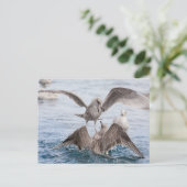 Seagull Wildlife Foto Postkarte (Stehend Vorderseite)