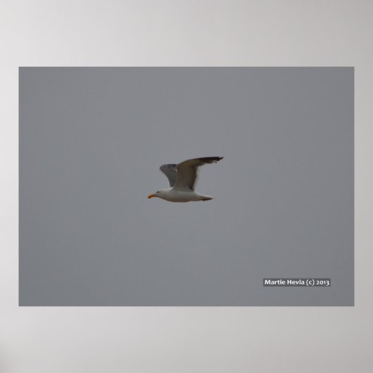 Seagull Wings Poster (Vorne)
