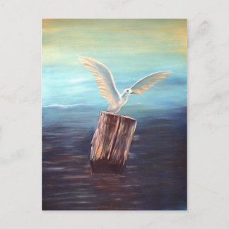 Seagull: www.AriesArtist.com Postkarte