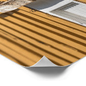 Seagull Yellow House Poster (Ecke)