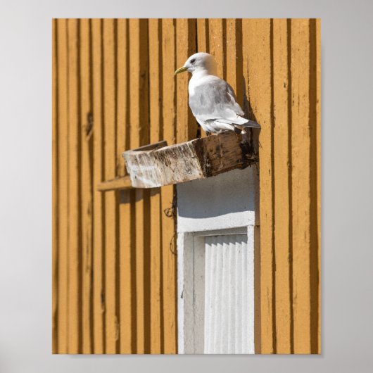 Seagull Yellow House Poster (Vorne)