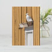 Seagull Yellow (Norwegisches Foto) Feiertagskarte (Stehend Vorderseite)