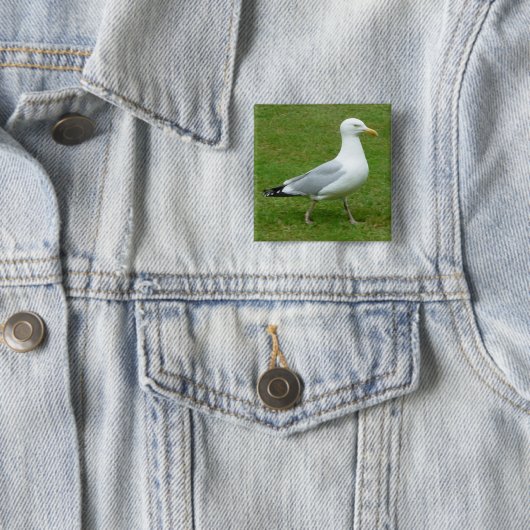 Seagull zu Fuß im Park Button (Beispiel)